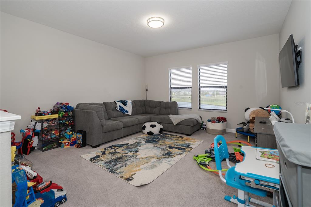 8099 Lago Mist Way Wesley Chapel, FL 33545 - Photo 19 of 56 a living room with furniture and a flat screen tv
