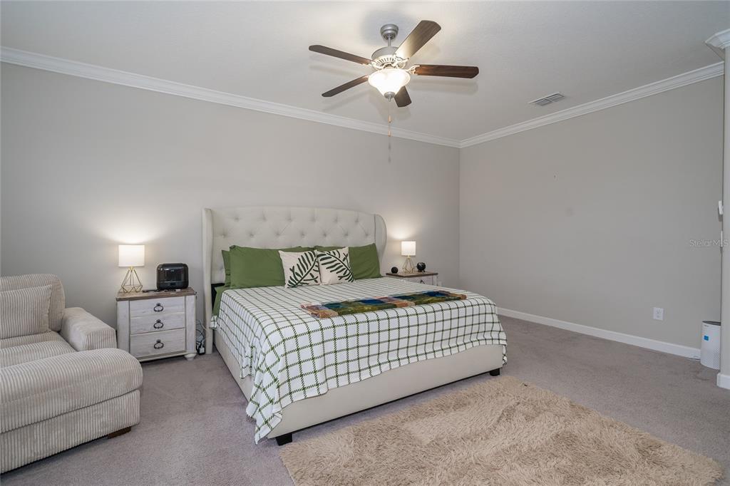 8099 Lago Mist Way Wesley Chapel, FL 33545 - Photo 20 of 56 a bedroom with a bed chandelier painting and a window