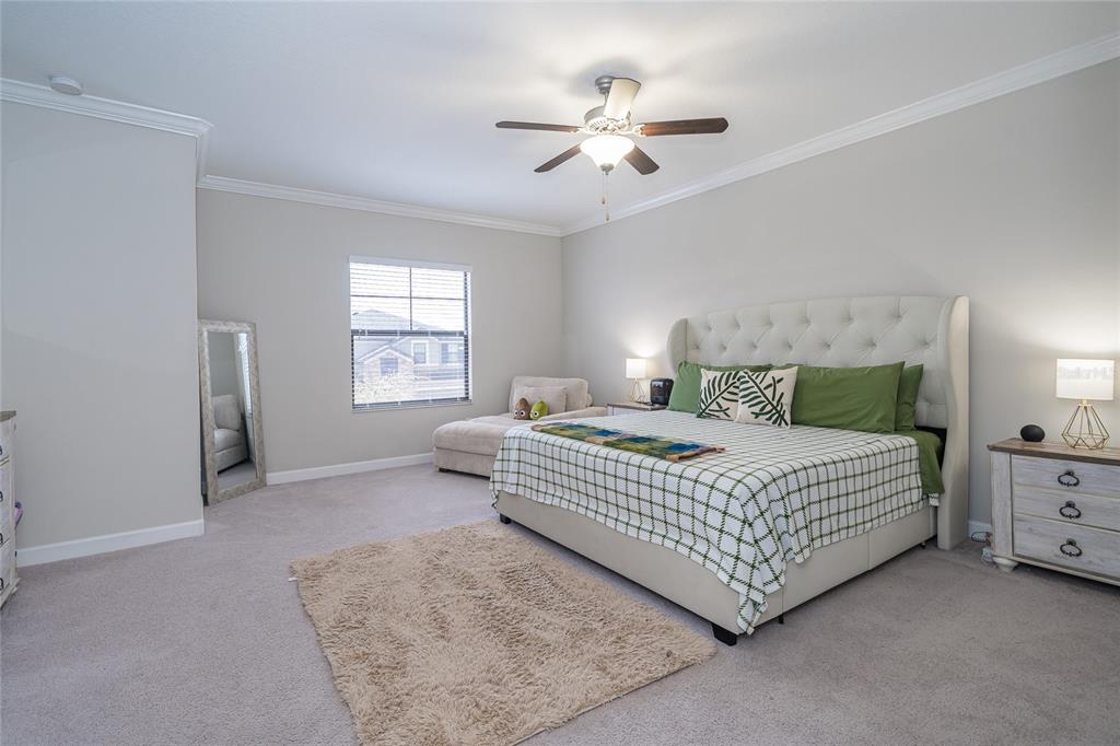 8099 Lago Mist Way Wesley Chapel, FL 33545 - Photo 21 of 56