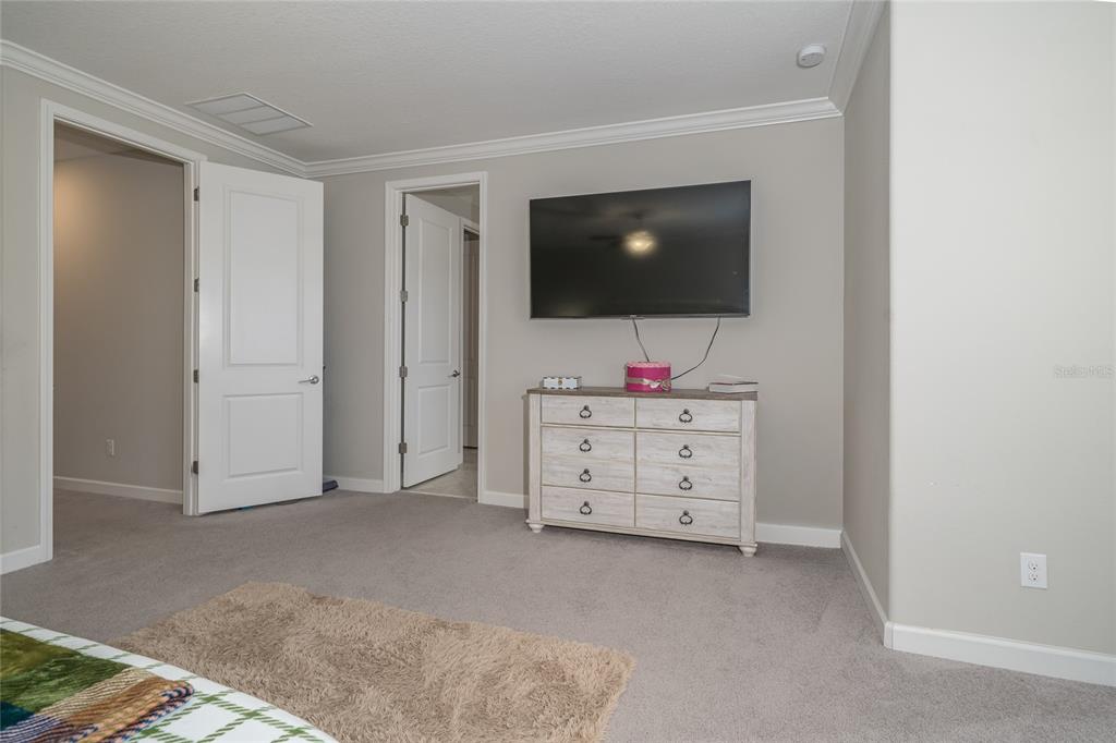 8099 Lago Mist Way Wesley Chapel, FL 33545 - Photo 23 of 56