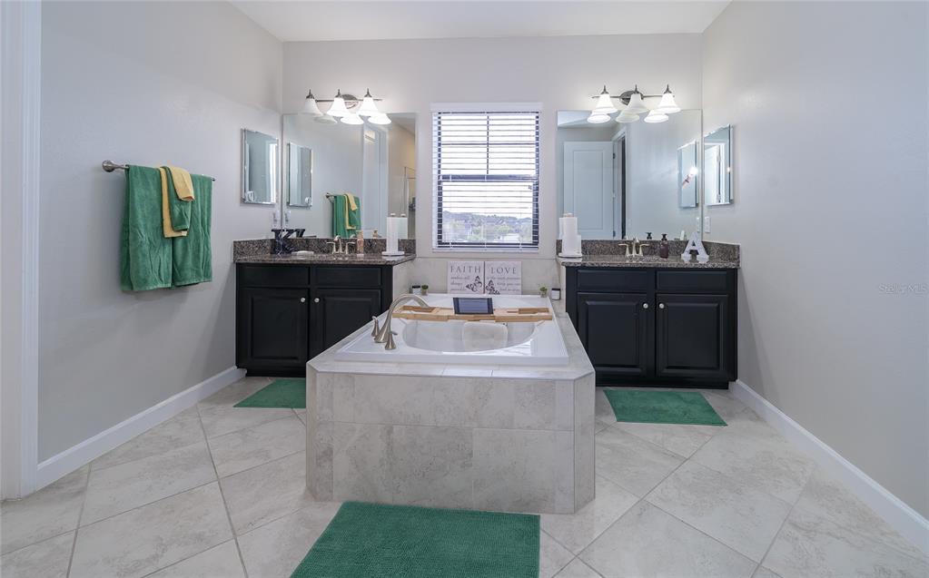 8099 Lago Mist Way Wesley Chapel, FL 33545 - Photo 24 of 56 a spacious bathroom with a sink and a mirror