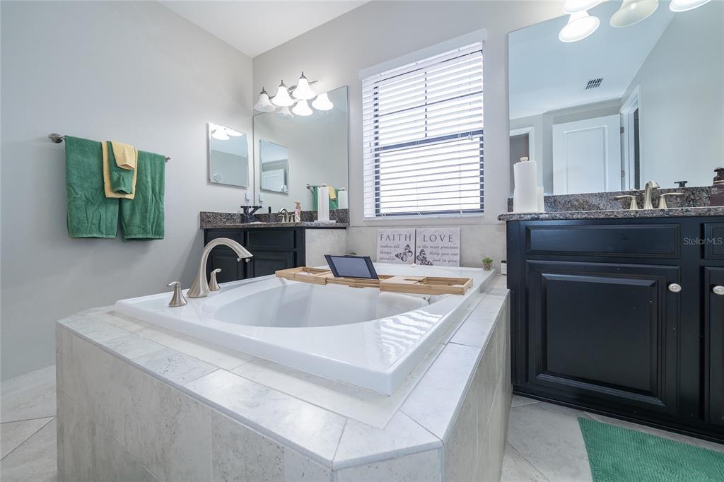 8099 Lago Mist Way Wesley Chapel, FL 33545 - Photo 25 of 56 a spacious bathroom with a granite countertop sink a mirror and a bathtub