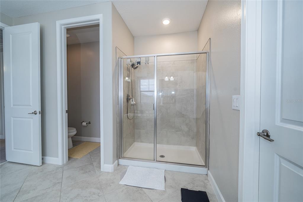 8099 Lago Mist Way Wesley Chapel, FL 33545 - Photo 26 of 56 a bathroom with a shower