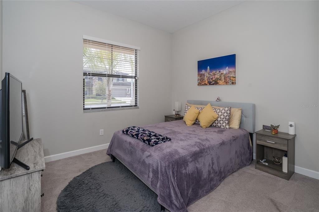 8099 Lago Mist Way Wesley Chapel, FL 33545 - Photo 27 of 56 a bedroom with a bed and a tv on the dresser