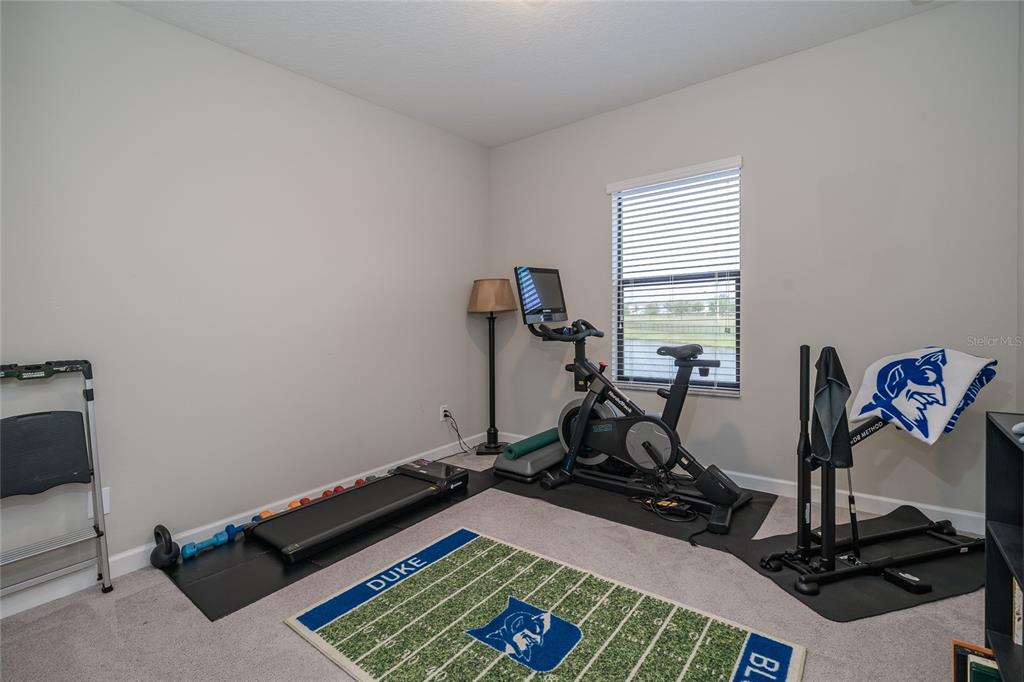 8099 Lago Mist Way Wesley Chapel, FL 33545 - Photo 30 of 56 a room with gym equipment and wooden floor