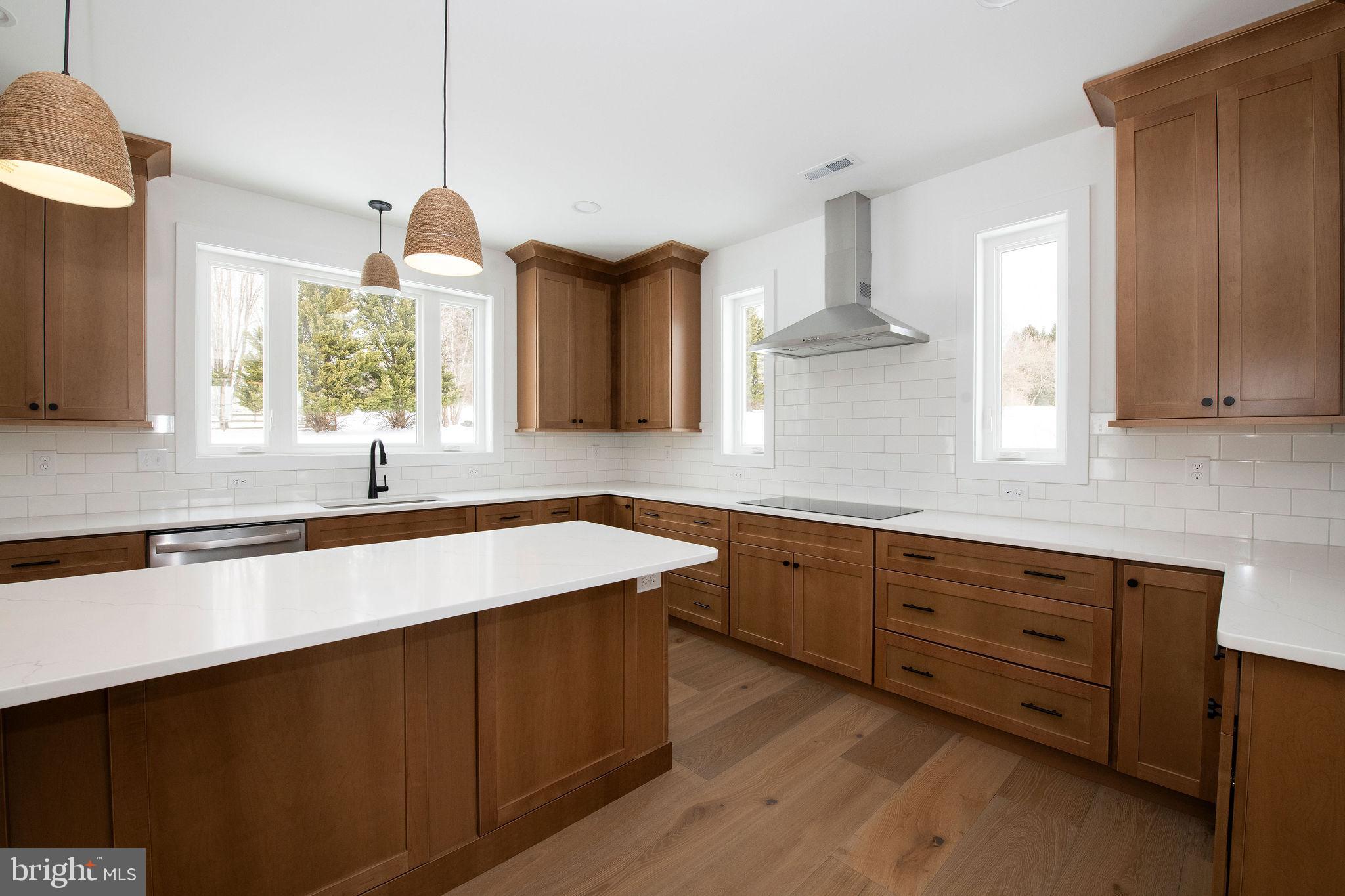 209 Old State Road Royersford, PA 19468 - Photo 6 of 29 a kitchen with granite countertop a sink a window stainless steel appliances and cabinets