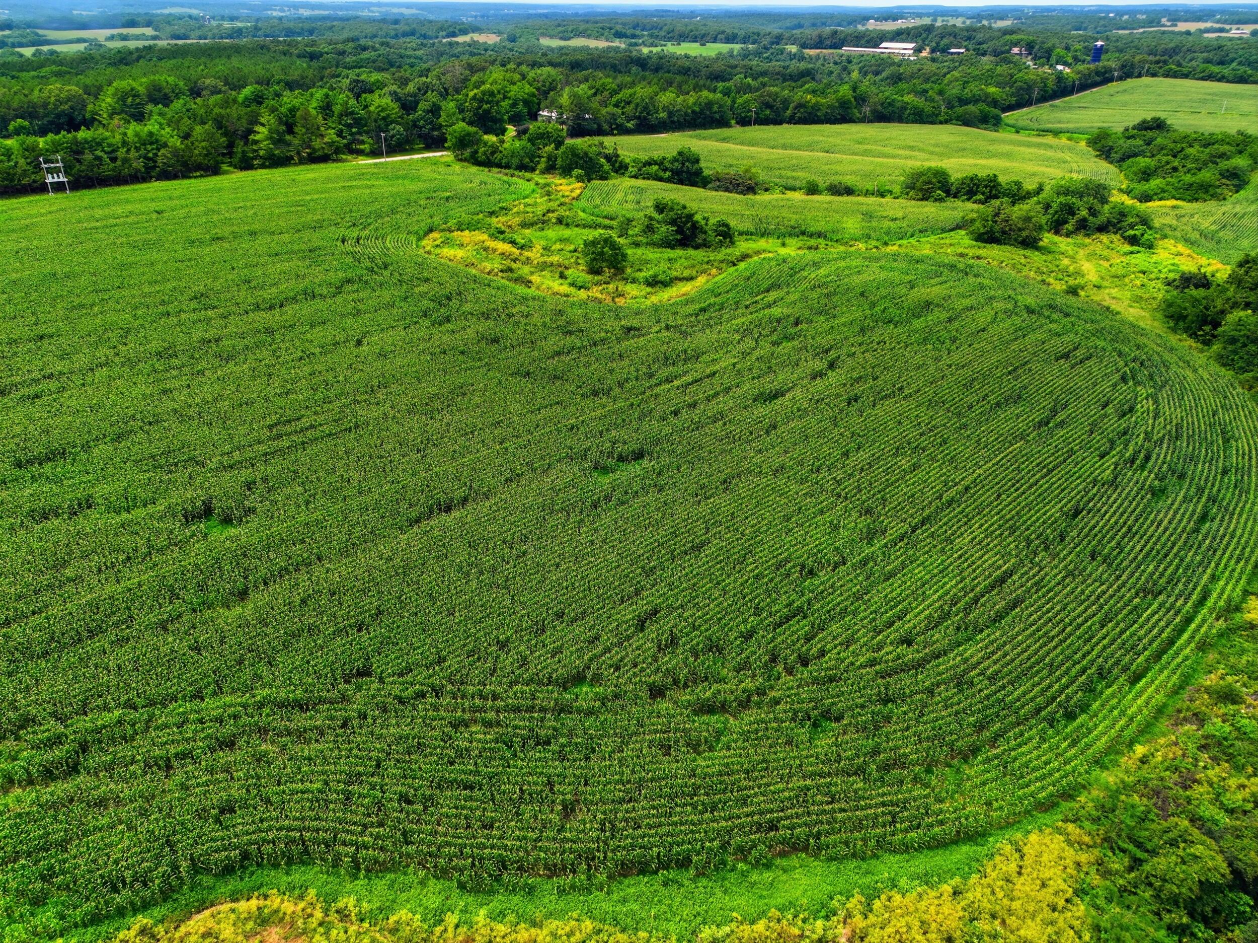 0 Gravel Point Road, Unit 2 Mountain Grove, MO 65711 - Photo 25 of 30 dji_0221