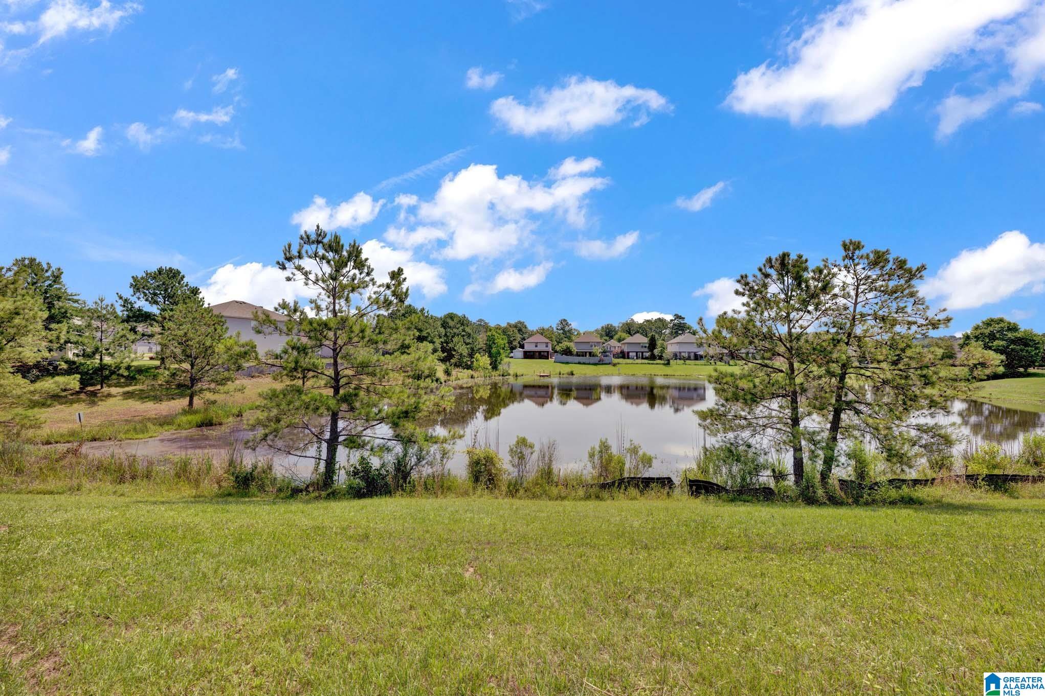 166 Dallas Lane Montevallo, AL 35115 - Photo 21 of 22