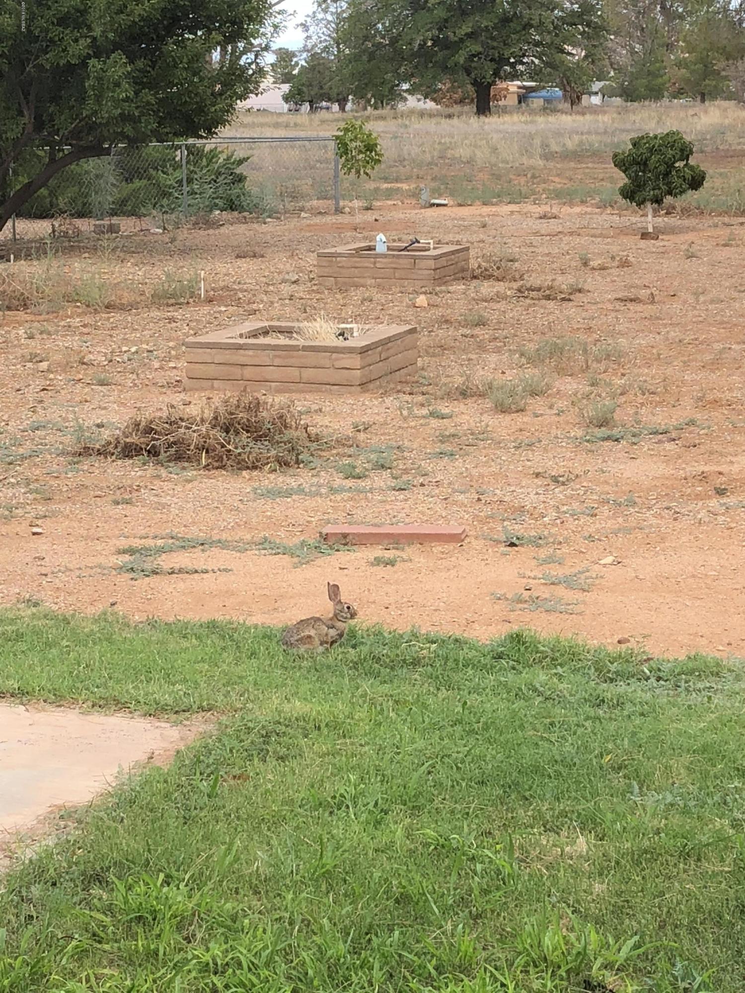 306 Dale Road Pearce, AZ 85625 - Photo 15 of 18 Gallery Image 15