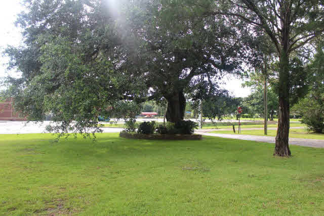 320 West Rose Avenue Foley, AL 36535 - Photo 17 of 30