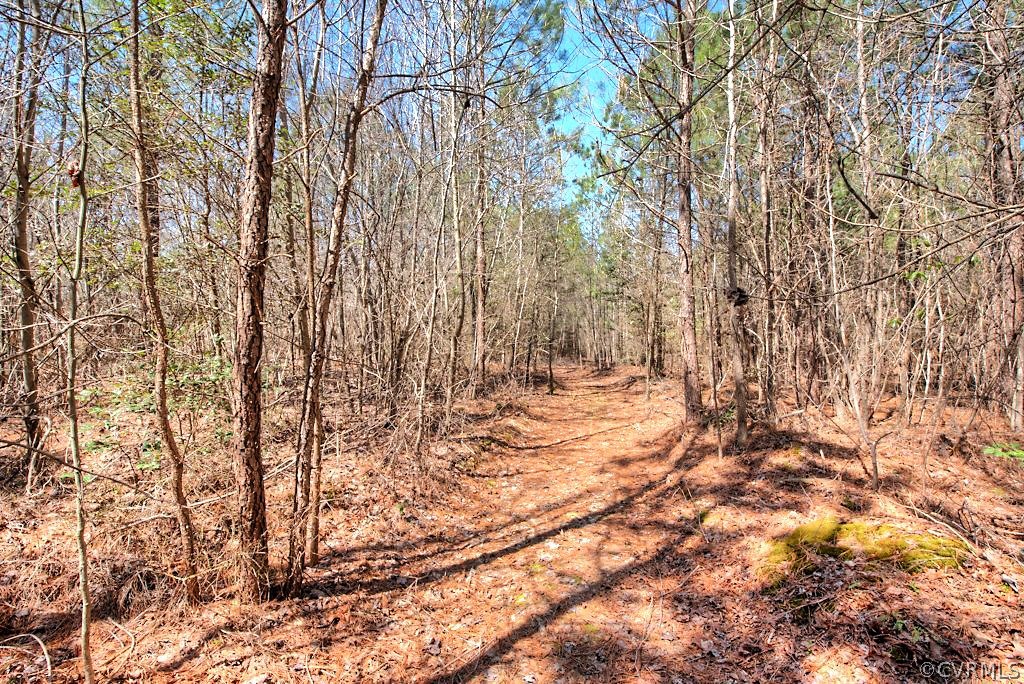 6045 Adkins Road Providence Forge, VA 23140 - Photo 23 of 31 Gallery Image 23