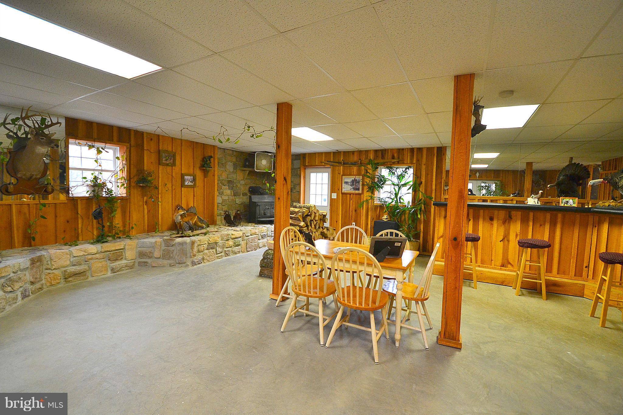 259 McCubbin Road Winchester, VA 22603 - Photo 22 of 30 Basement