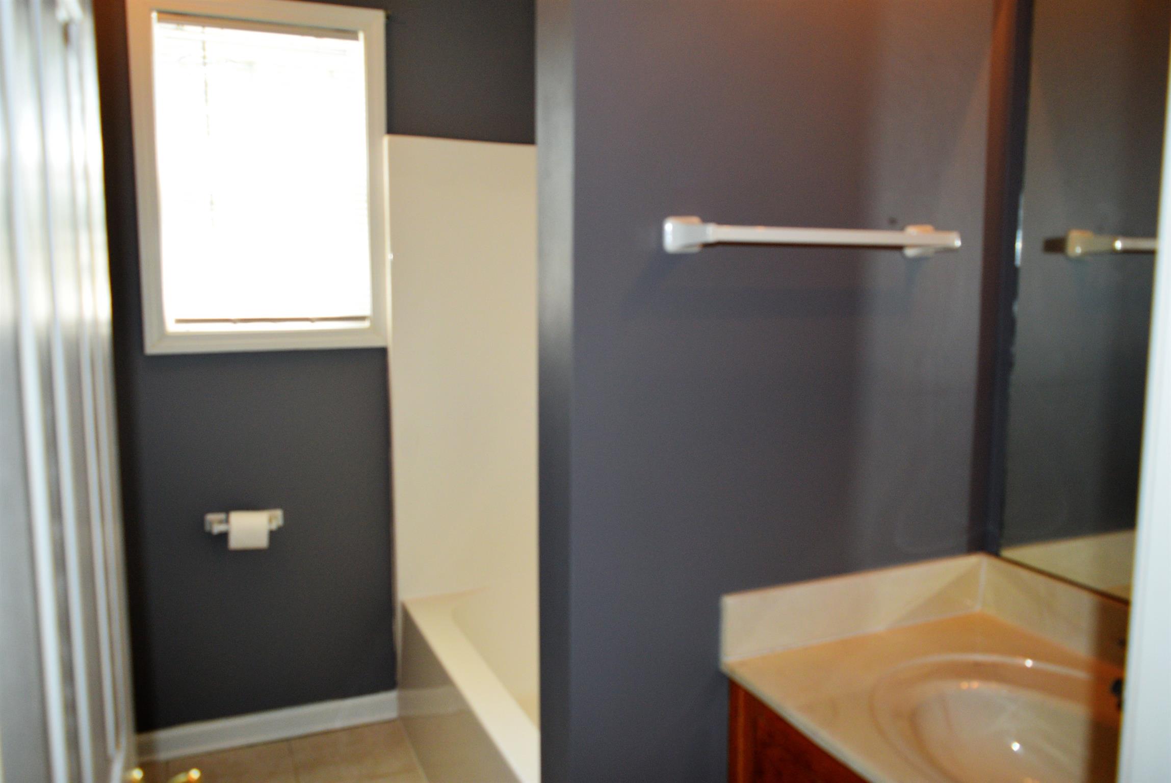 4893 Albright Road Clarksville, TN 37043 - Photo 15 of 20 Hallway bath by the extra bedrooms.