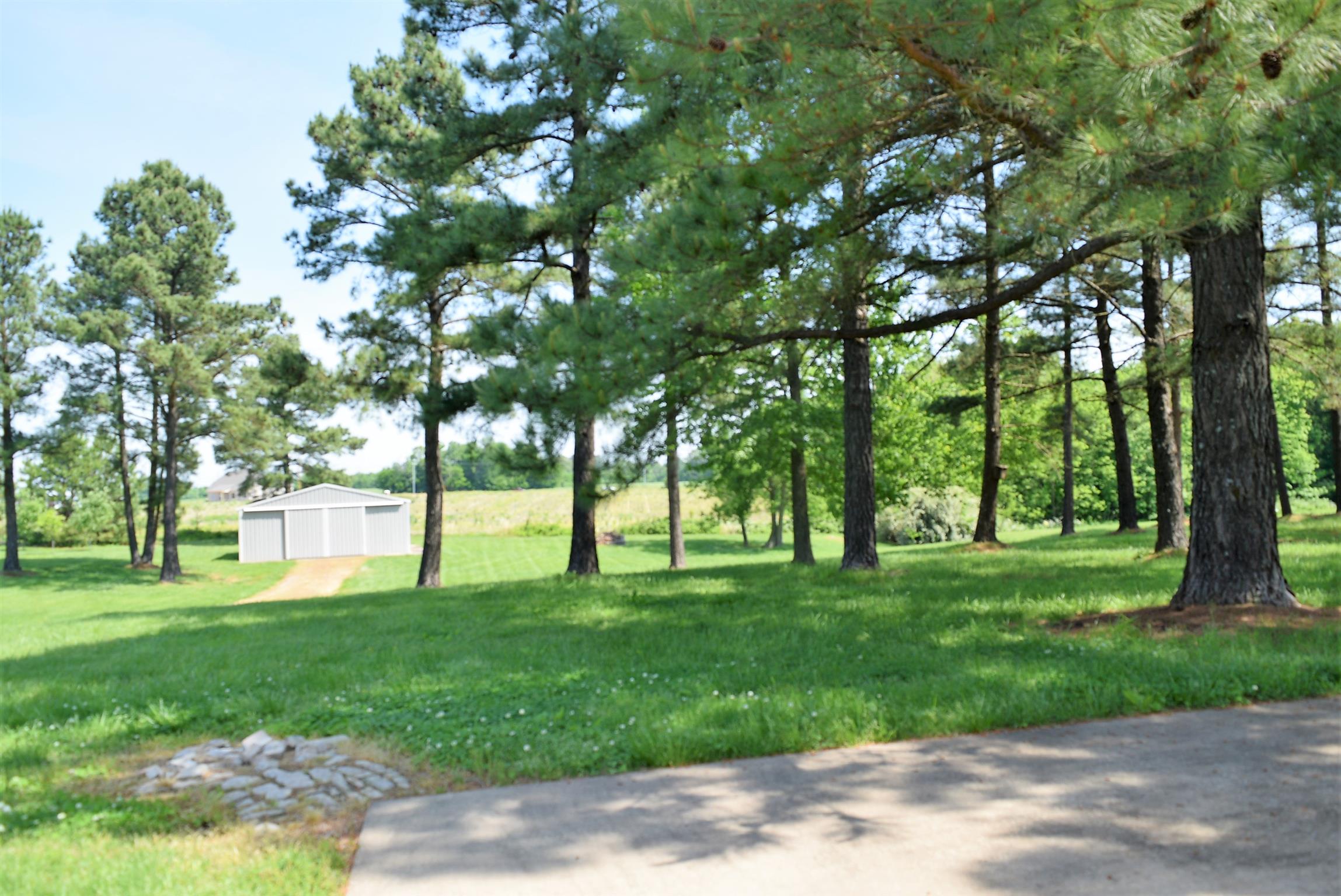 4893 Albright Road Clarksville, TN 37043 - Photo 4 of 20 Relax in this park-like setting for a back yard!