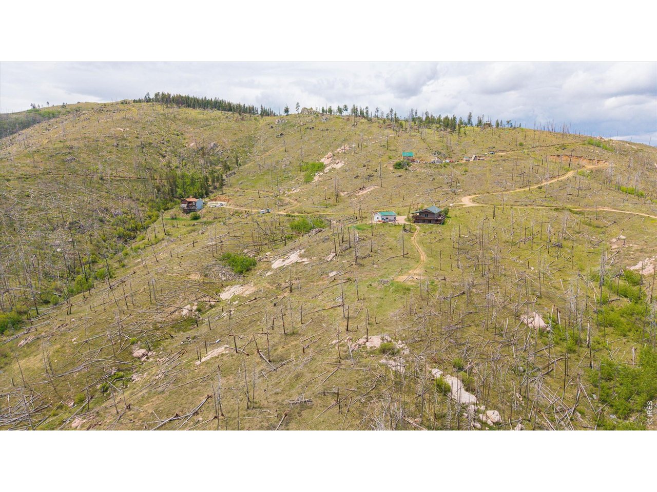 1291 Little Whale Road Bellvue, CO 80512 - Photo 41 of 43