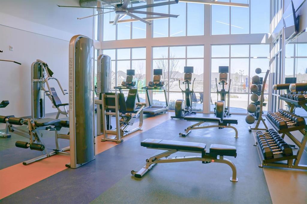 317 Bee Balm Road McKinney, TX 75071 - Photo 23 of 24 a gym area with gym equipment