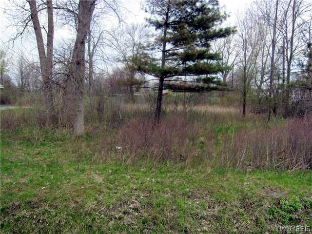 1290 Center Road West Seneca, NY 14224 - Photo 1 of 1 Land/Lot. 100x250 .57 acres