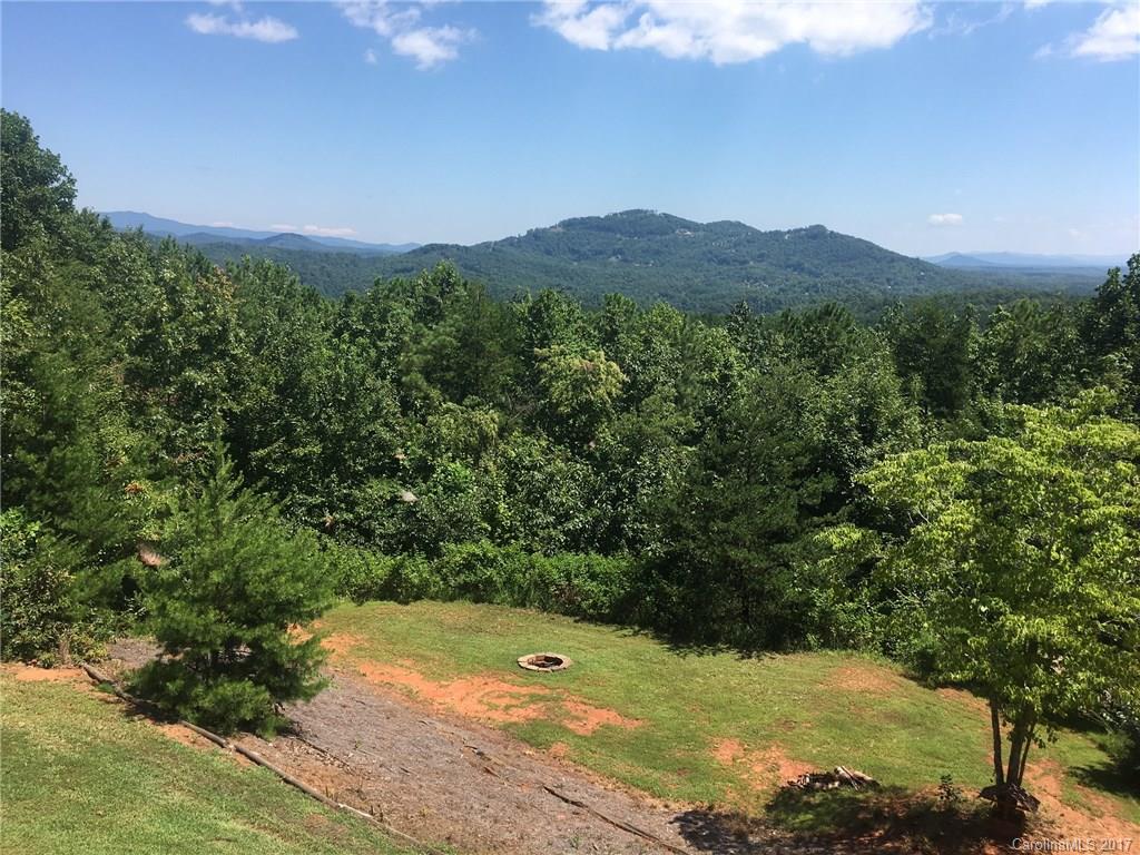 1520 Grassy Knob Road Rutherfordton, NC 28139 - Photo 4 of 24