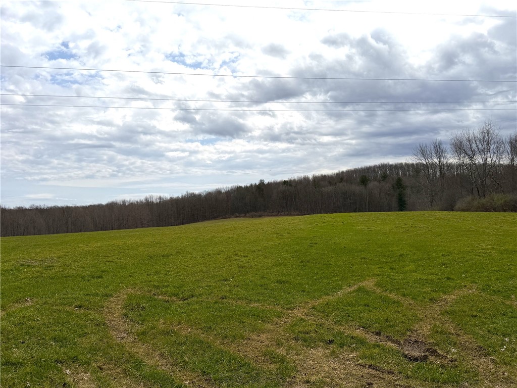 Lot 7 Summit Road Cuba, NY 14727 - Photo 5 of 31