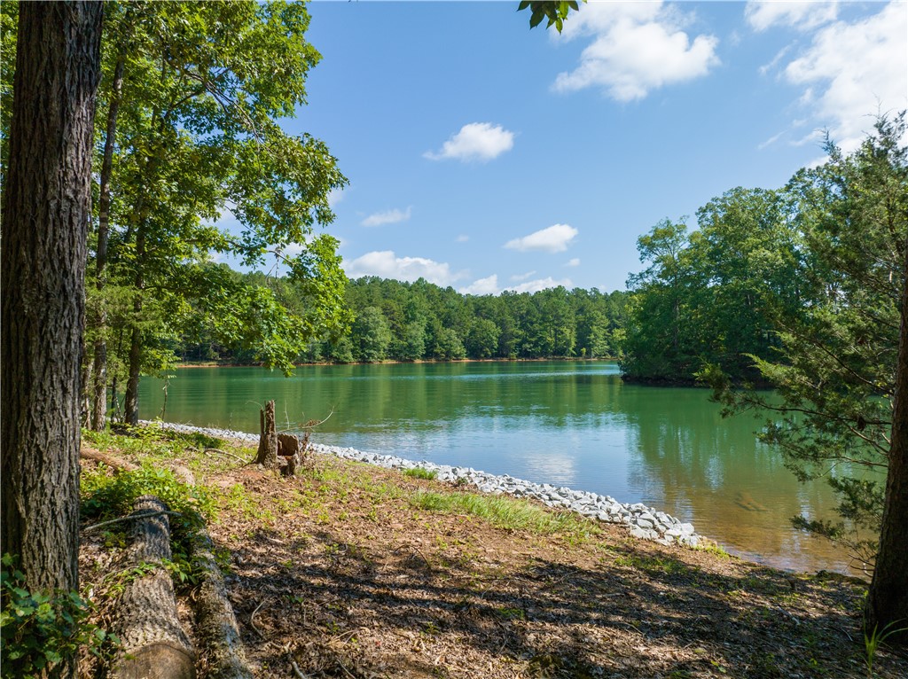 13.25-ac South Cove Road Seneca, SC 29672 - Photo 12 of 28