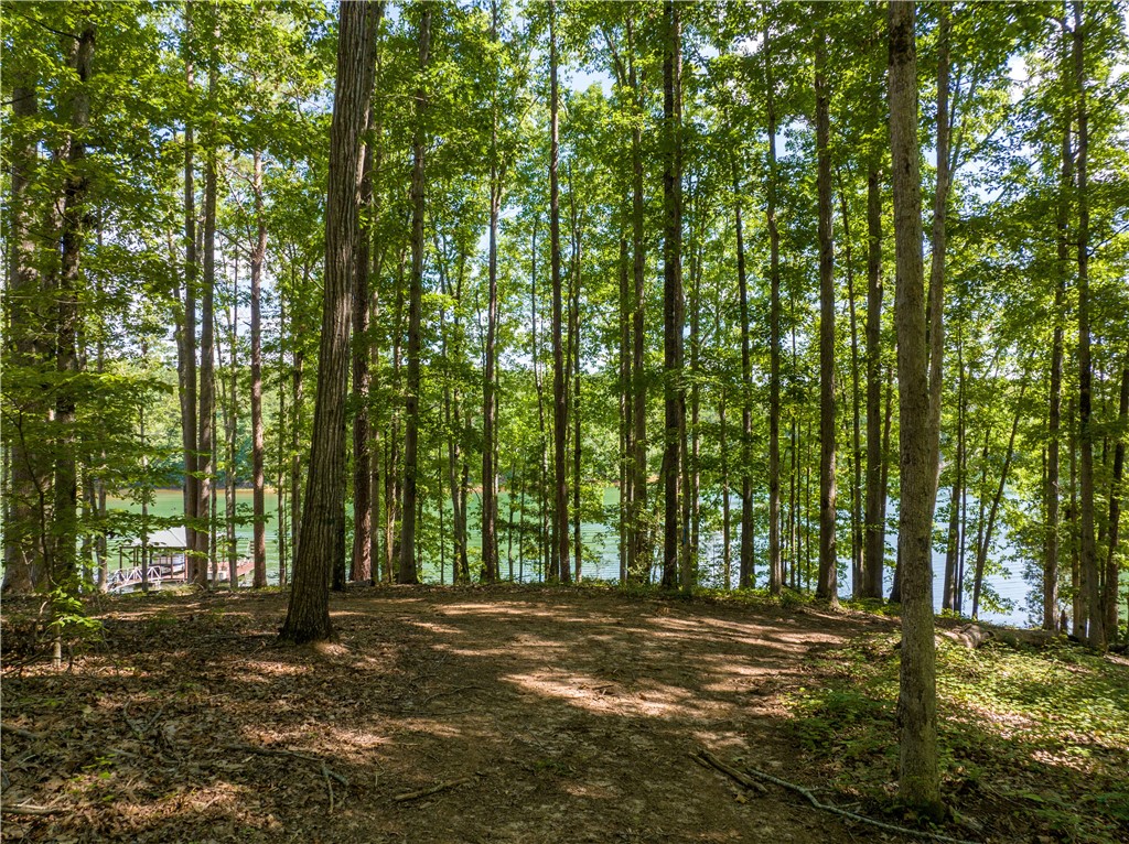 13.25-ac South Cove Road Seneca, SC 29672 - Photo 13 of 28