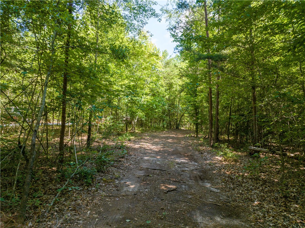 13.25-ac South Cove Road Seneca, SC 29672 - Photo 14 of 28