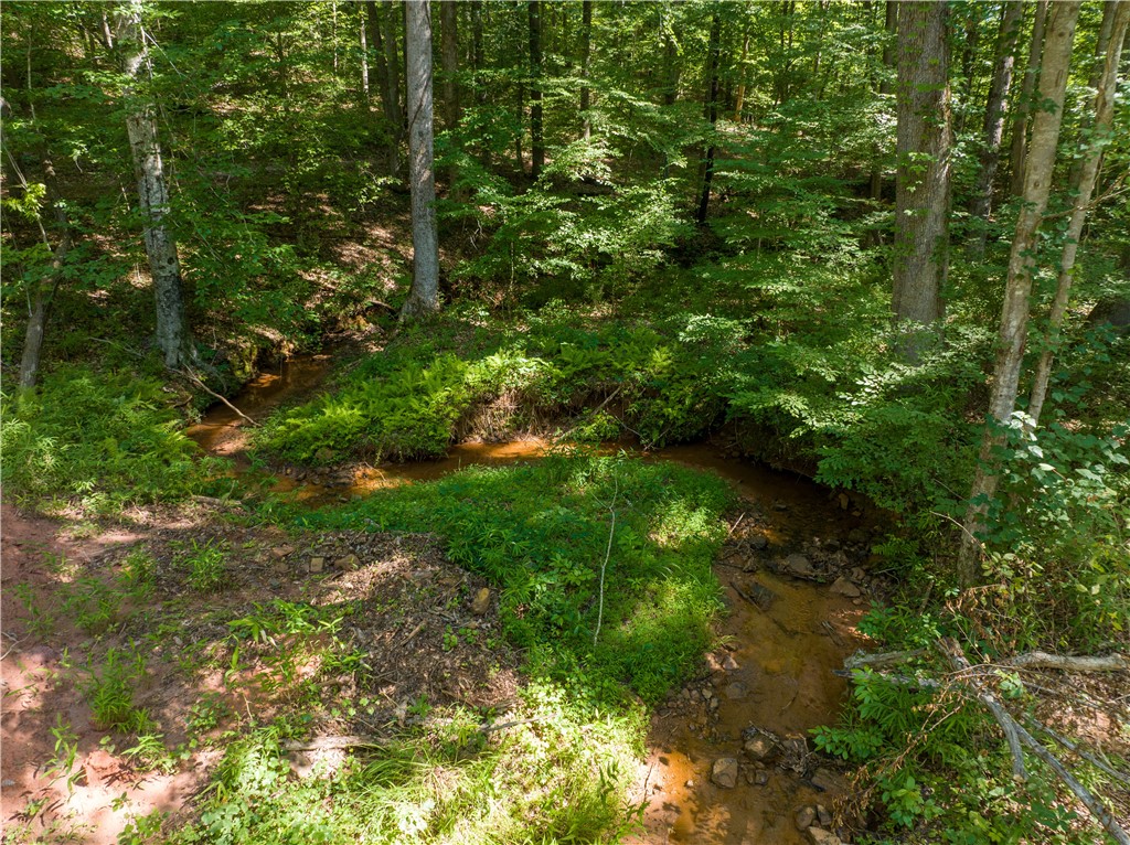 13.25-ac South Cove Road Seneca, SC 29672 - Photo 15 of 28