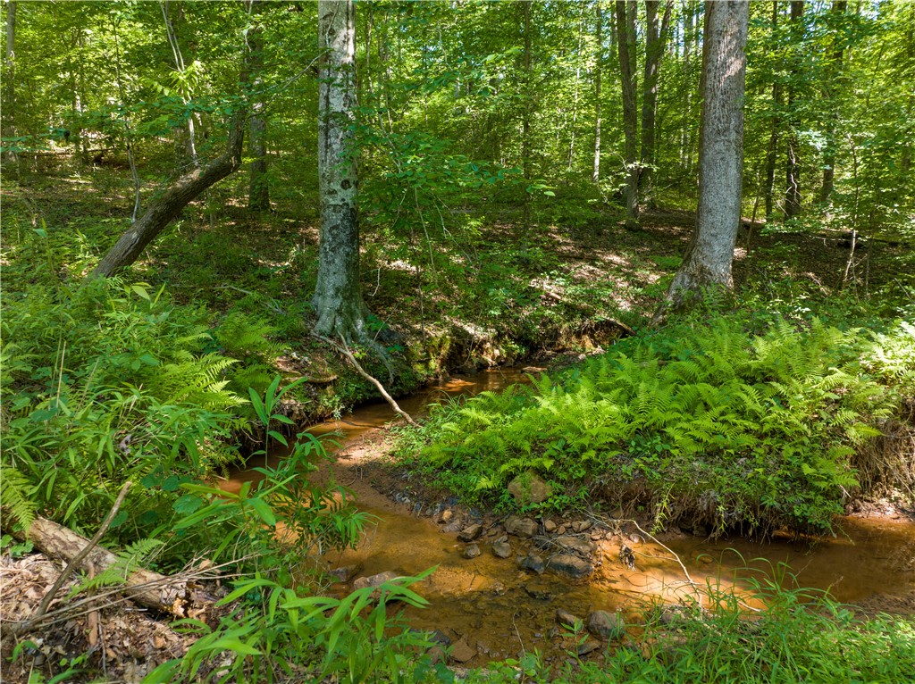 13.25-ac South Cove Road Seneca, SC 29672 - Photo 16 of 28