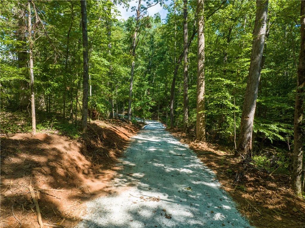 13.25-ac South Cove Road Seneca, SC 29672 - Photo 17 of 28