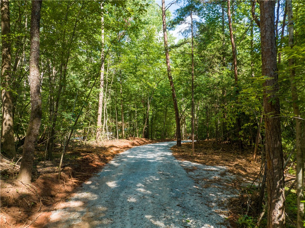 13.25-ac South Cove Road Seneca, SC 29672 - Photo 18 of 28