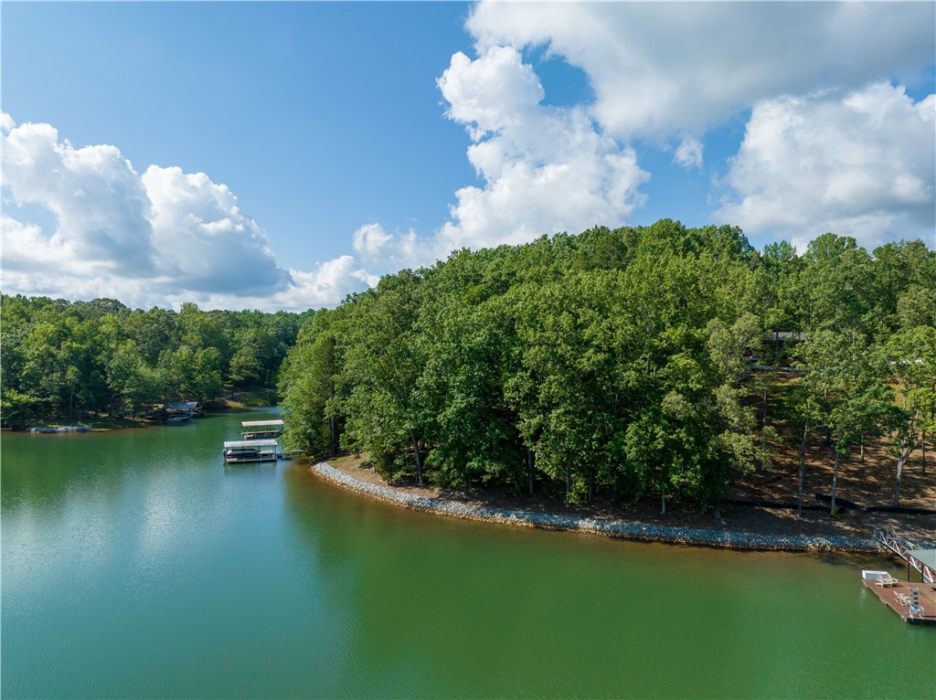 13.25-ac South Cove Road Seneca, SC 29672 - Photo 2 of 28