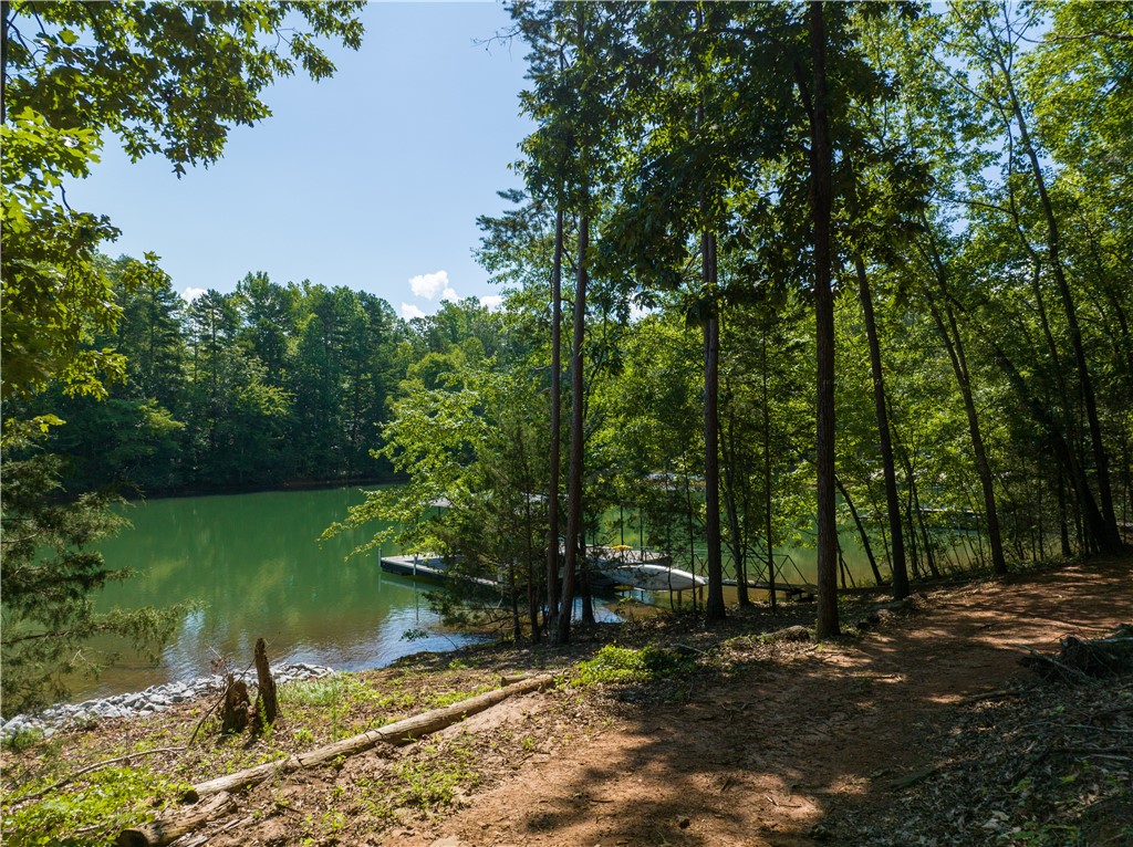 13.25-ac South Cove Road Seneca, SC 29672 - Photo 21 of 28