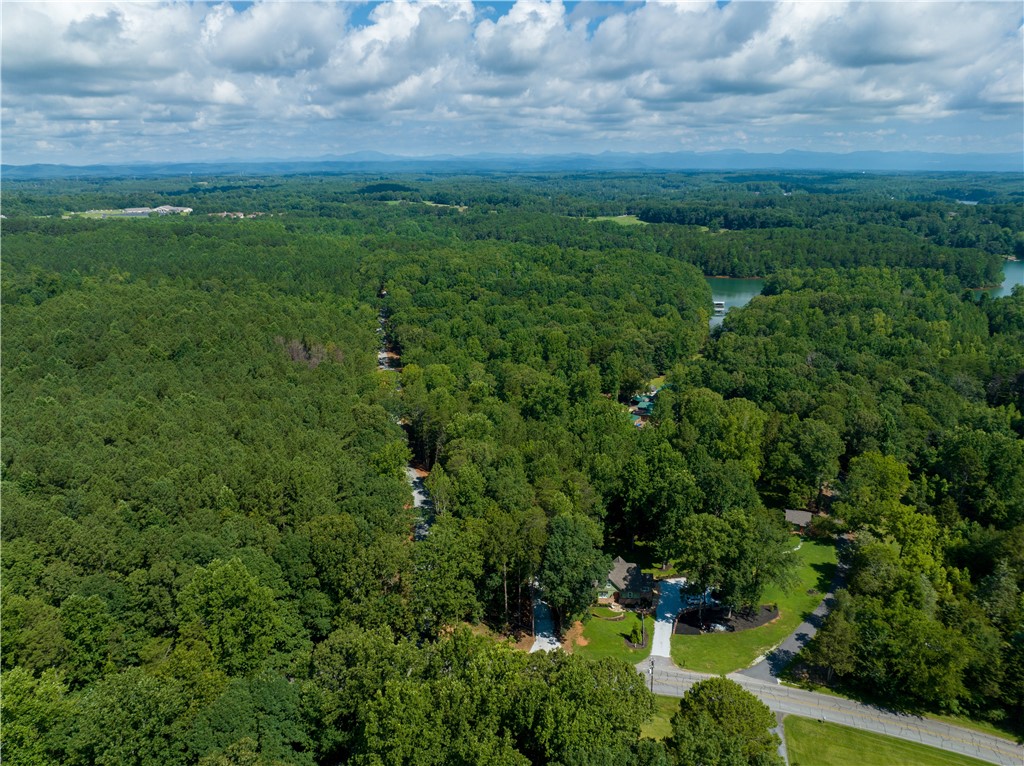 13.25-ac South Cove Road Seneca, SC 29672 - Photo 26 of 28