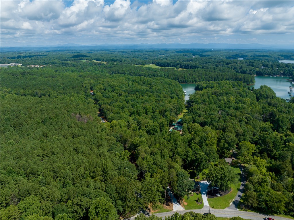 13.25-ac South Cove Road Seneca, SC 29672 - Photo 27 of 28