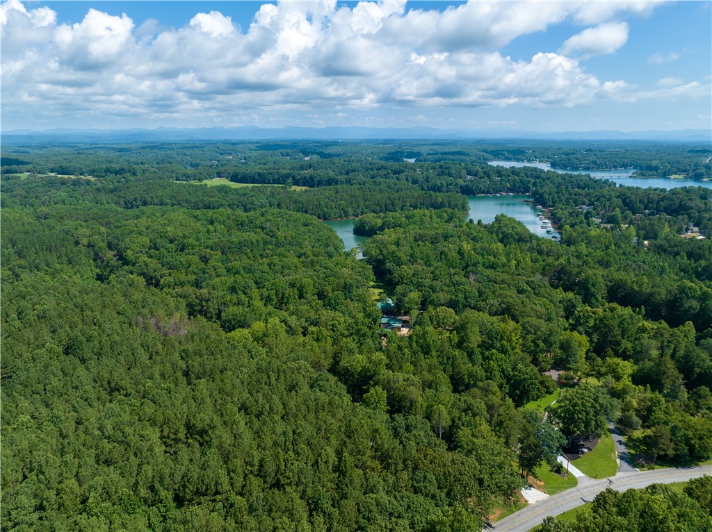 13.25-ac South Cove Road Seneca, SC 29672 - Photo 28 of 28