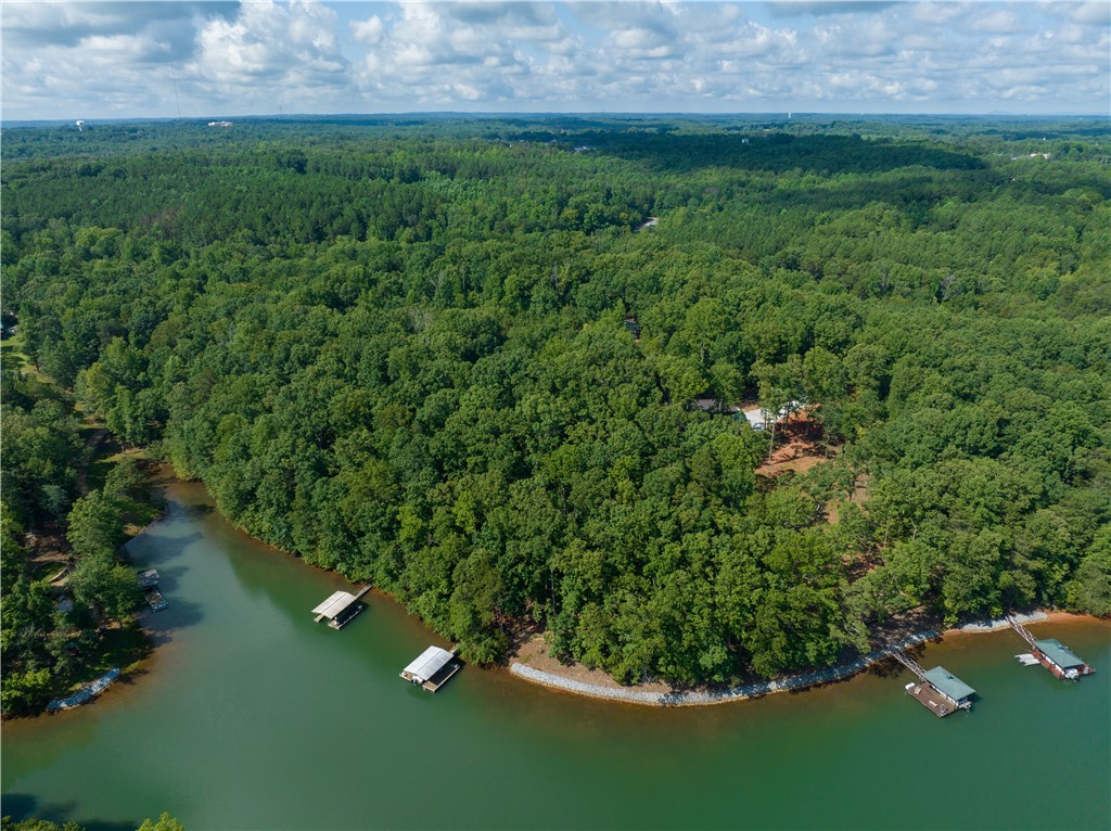 13.25-ac South Cove Road Seneca, SC 29672 - Photo 3 of 28