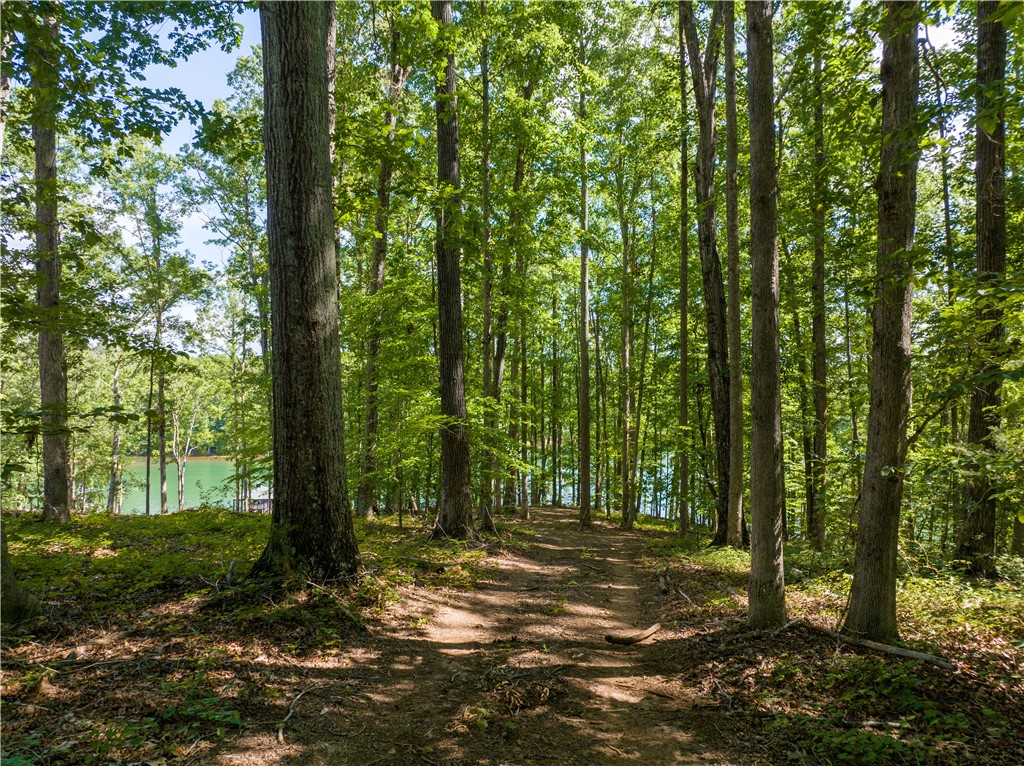 13.25-ac South Cove Road Seneca, SC 29672 - Photo 4 of 28