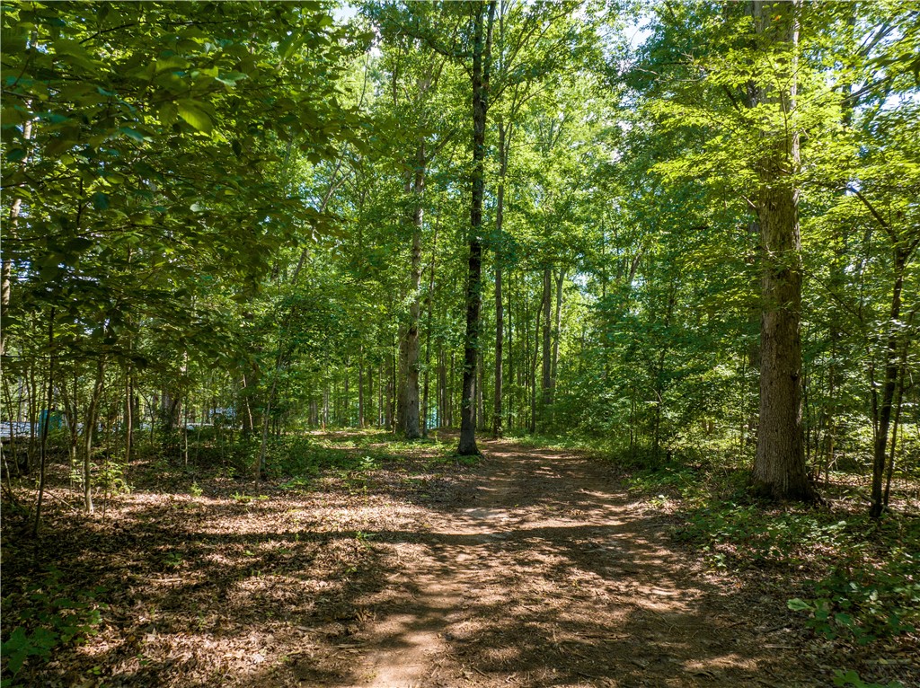 13.25-ac South Cove Road Seneca, SC 29672 - Photo 5 of 28
