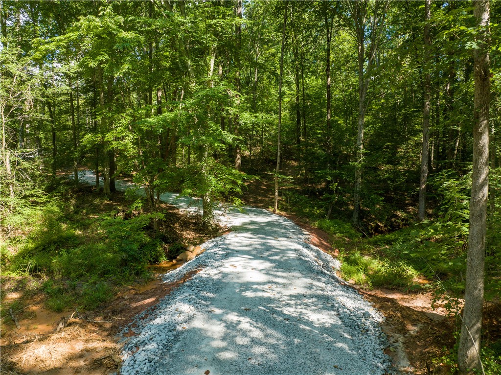13.25-ac South Cove Road Seneca, SC 29672 - Photo 6 of 28