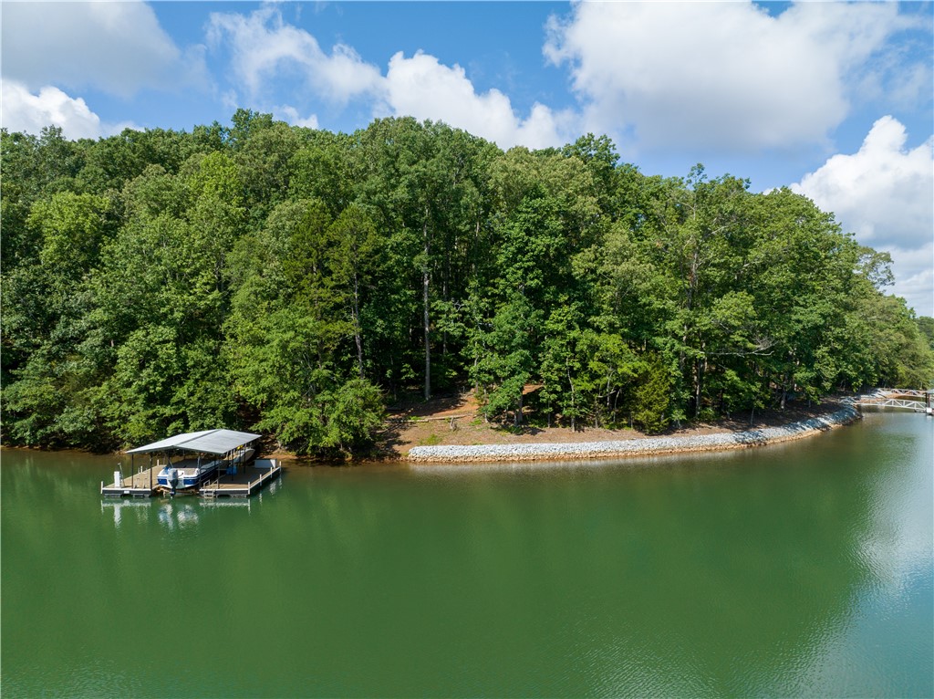 13.25-ac South Cove Road Seneca, SC 29672 - Photo 7 of 28