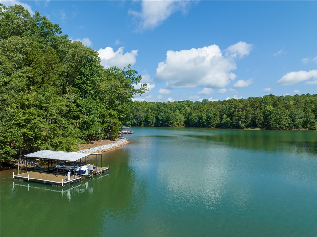 13.25-ac South Cove Road Seneca, SC 29672 - Photo 8 of 28