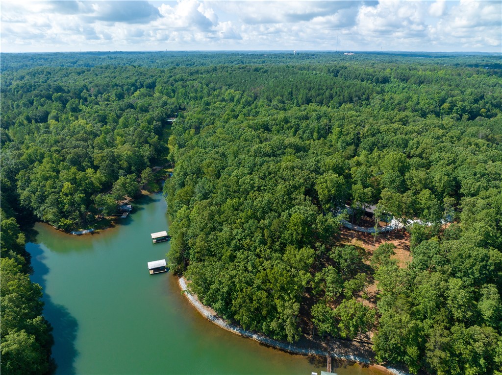 13.25-ac South Cove Road Seneca, SC 29672 - Photo 10 of 28