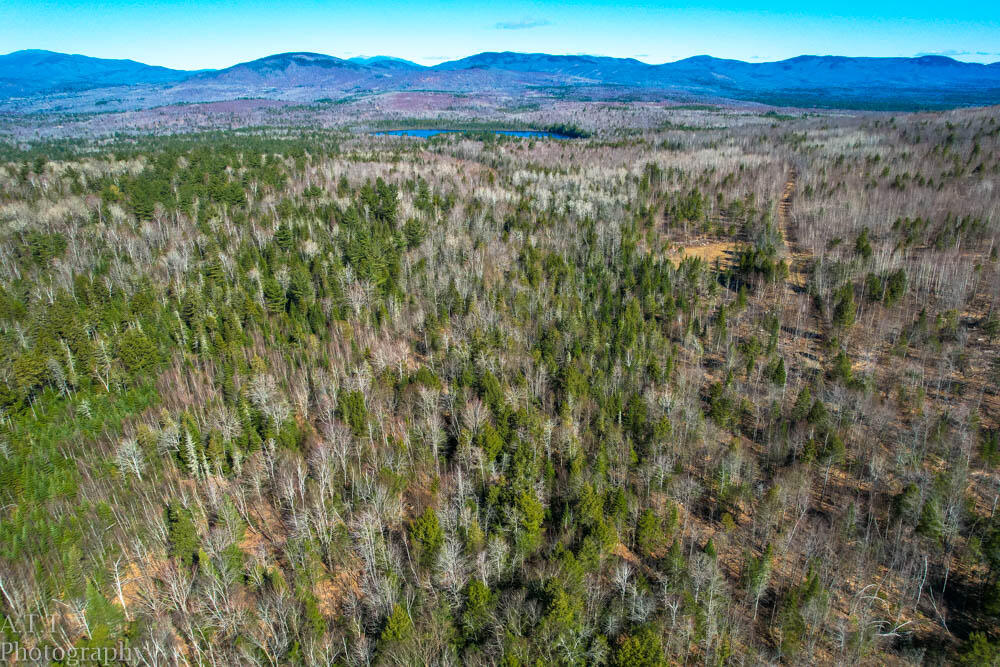 Tbd Tbd Trinity Farm Road New Portland, ME 04961 - Photo 7 of 51 - ATT-6
