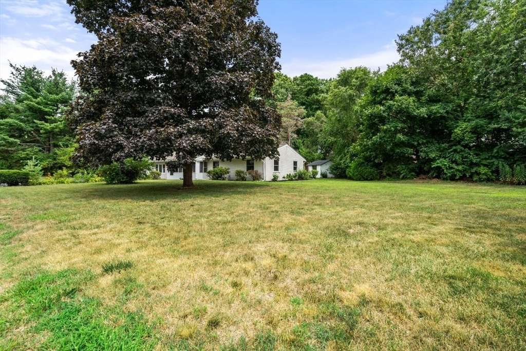 10 Temi Road Chelmsford, MA 01824 - Photo 19 of 22 a view of a field with an trees in the background