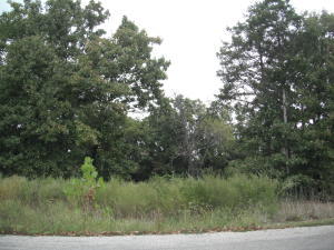 220 Bertie Day Road Forsyth, MO 65653 - Photo 1 of 1 Lot 21 Bertie Day photo