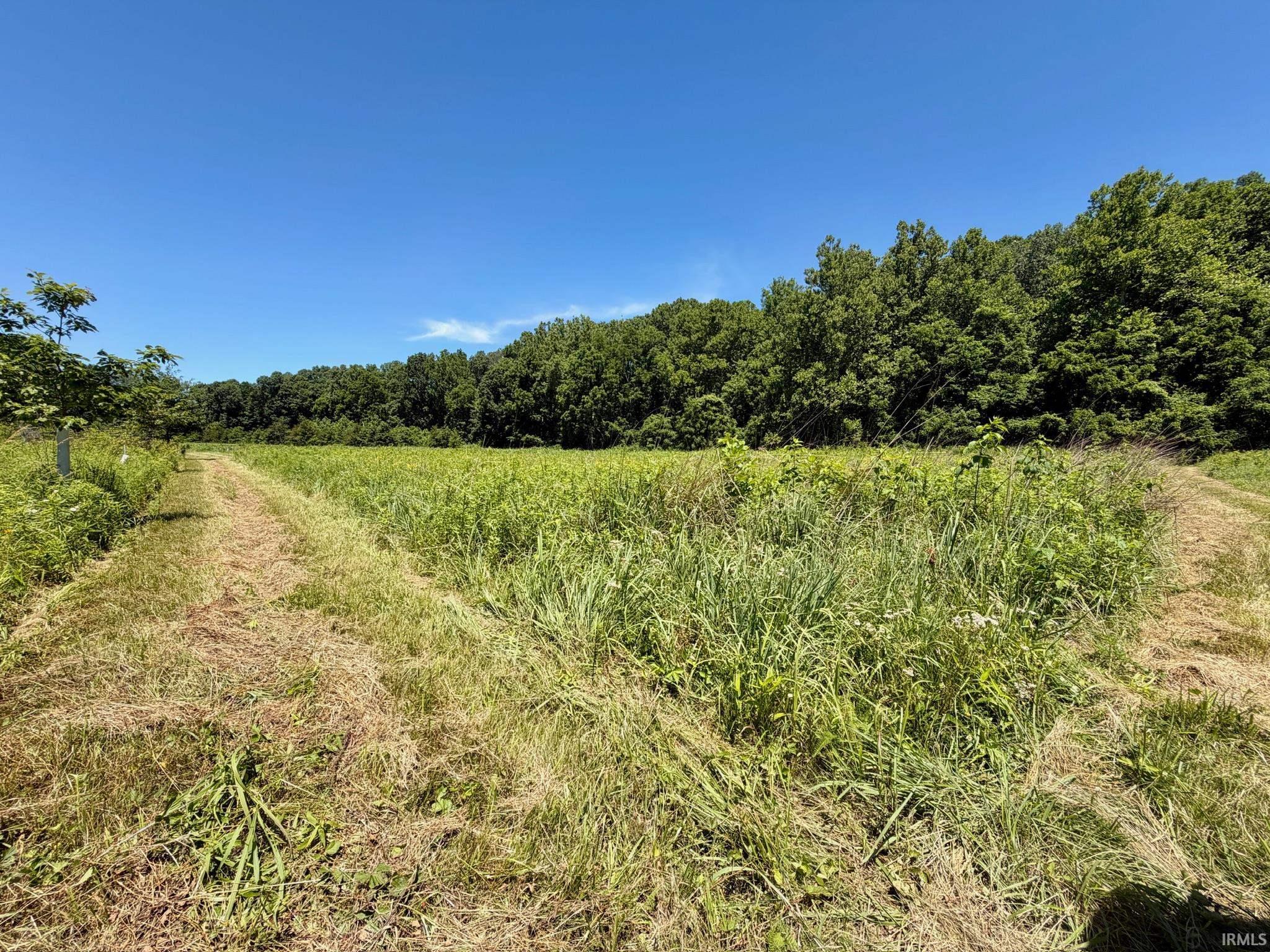 Tbd Newark Road Solsberry, IN 47459 - Photo 22 of 28