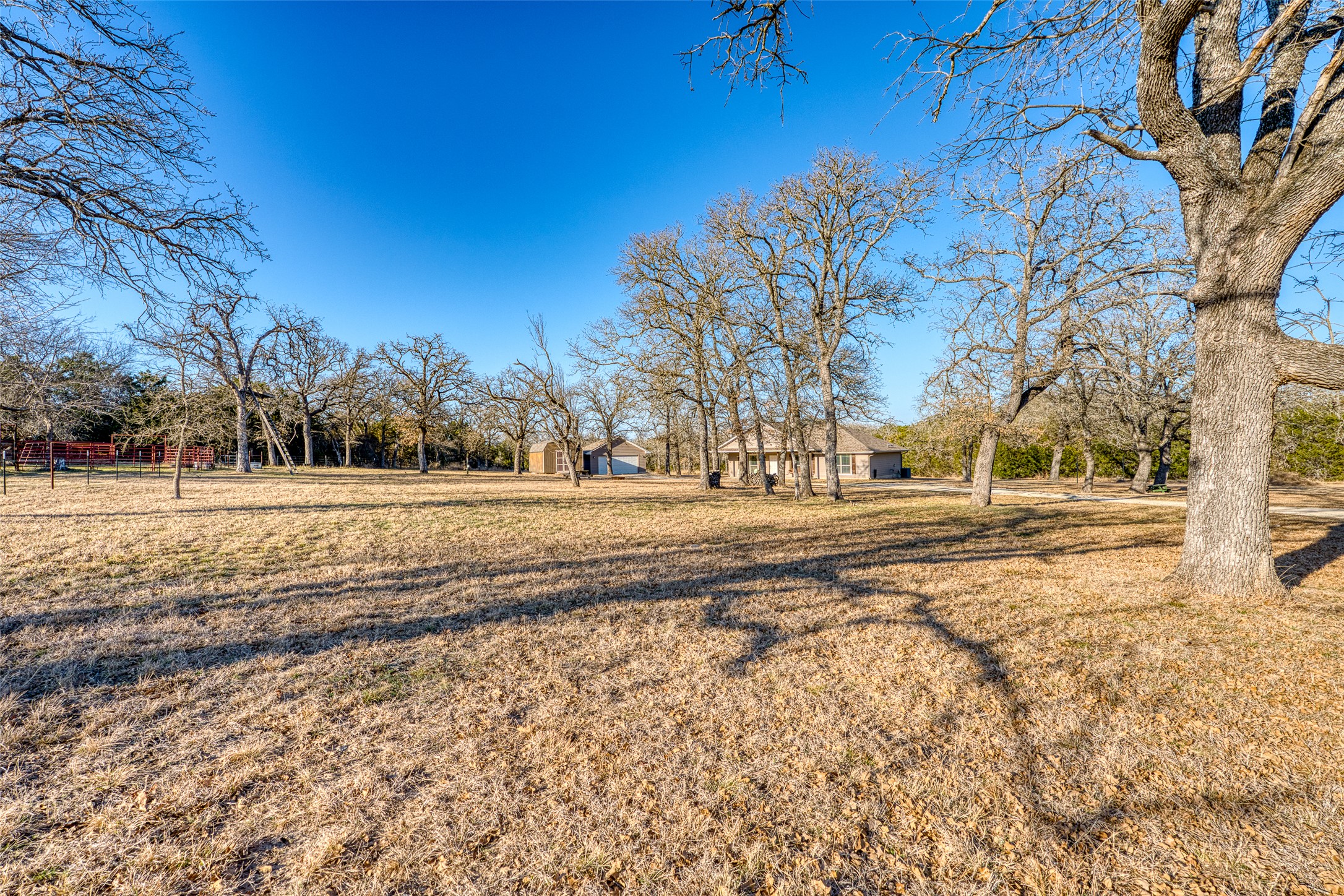 489 Nordic Ridge Road Bertram, TX 78605 - Photo 13 of 19 a view of dirt yard and trees