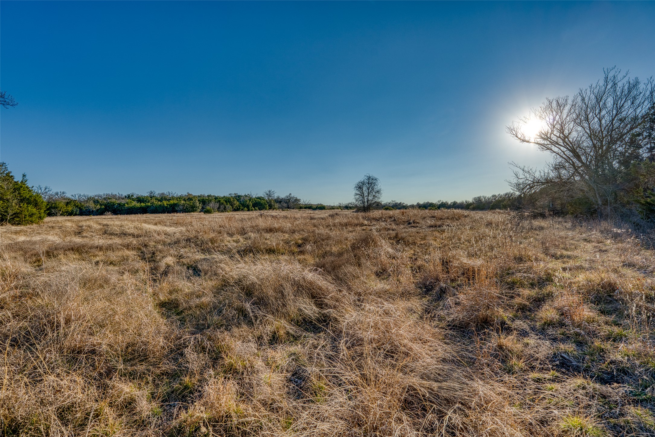 489 Nordic Ridge Road Bertram, TX 78605 - Photo 17 of 19 a view of yard with trees