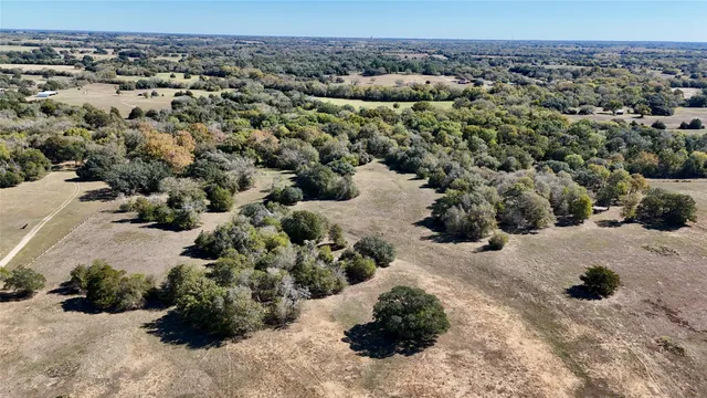 a view of a dry yard