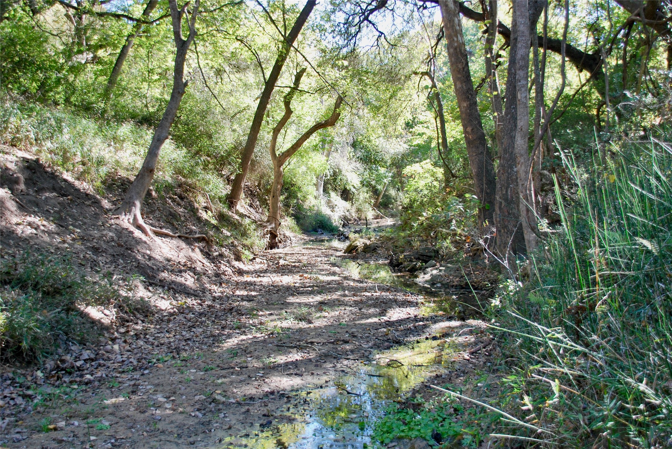 90 St Schulenburg Tx 78956 Schulenburg, TX 78956 - Photo 24 of 48 a backyard of a house with lots of green space